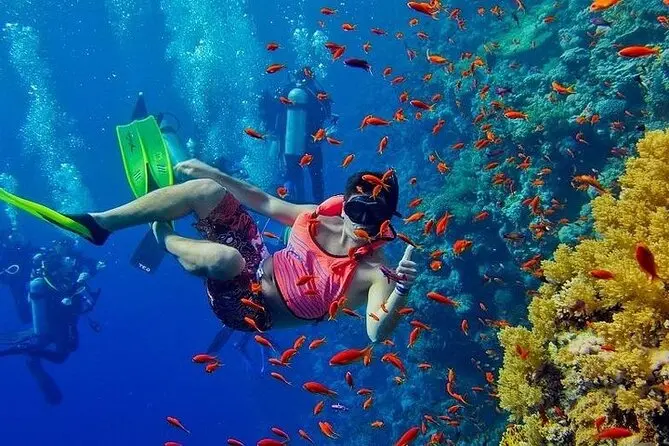Mnemba Island Snorkeling Tour overview photo 1
